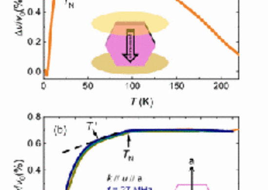 Direct probe of magnetic field effects on phonons by ultrasound propagation in the quasi-two-dimensional honeycomb magnet Na2Co2TeO6