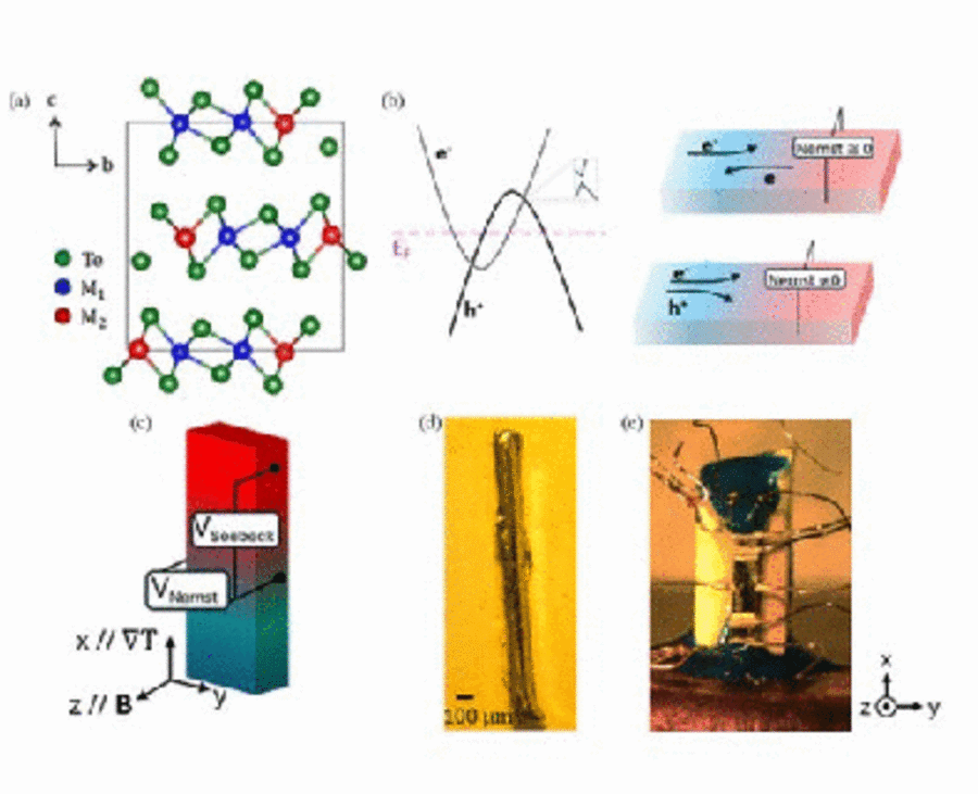 Large Nernst effect in Te-based van der Waals materials