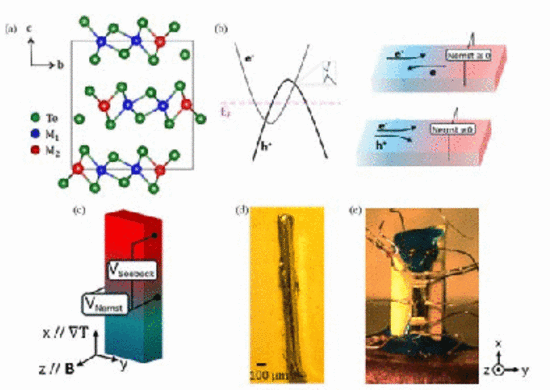 Large Nernst effect in Te-based van der Waals materials